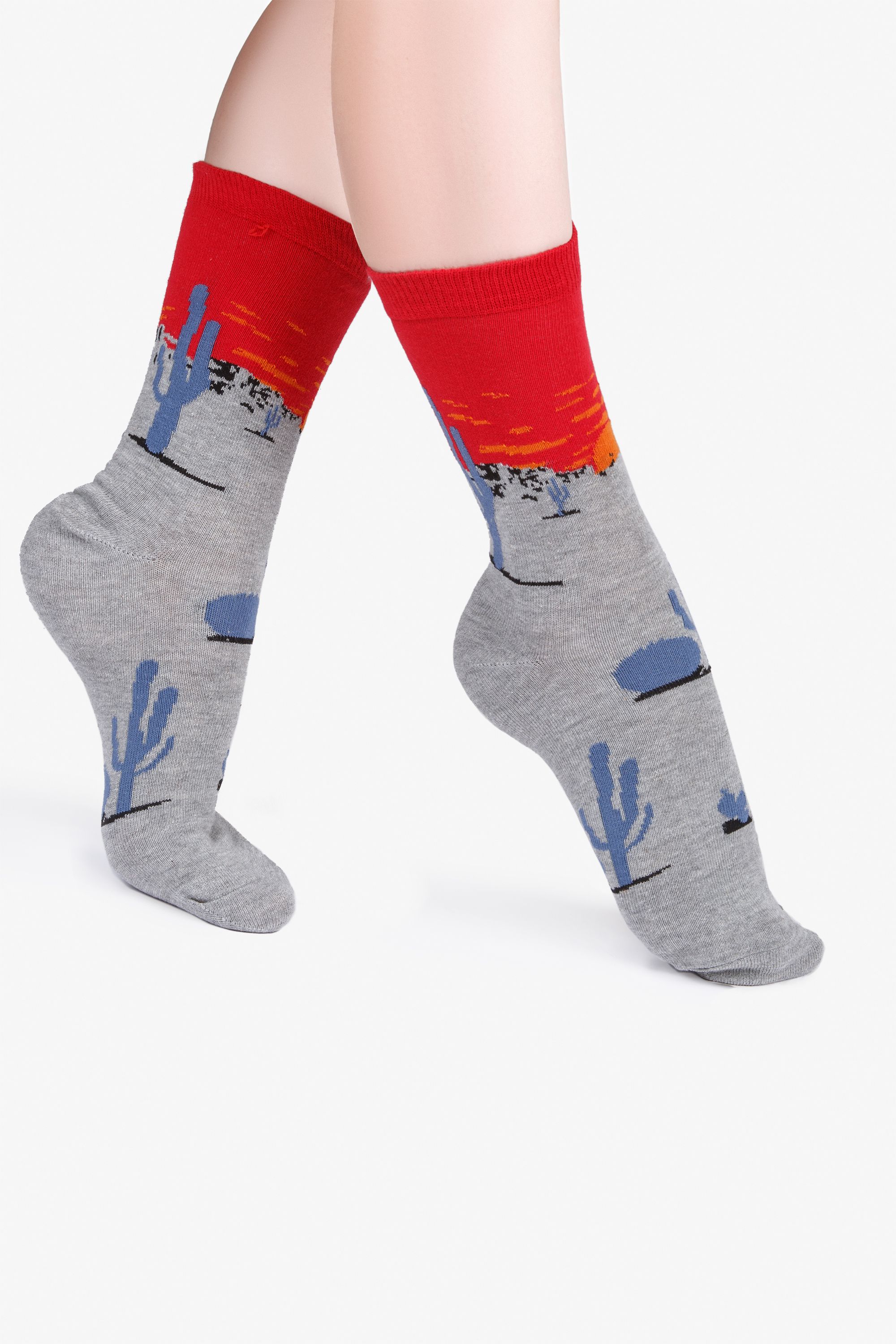 Носки женские Socks concept SC-1680