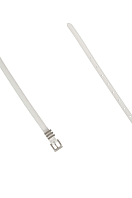 Ремень женский PDW25-1 . Фото 2.