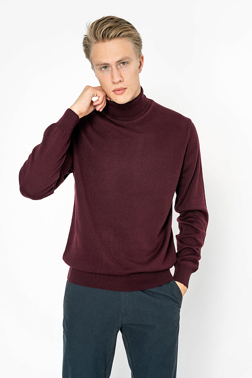 Изображение для Джемпер T1004