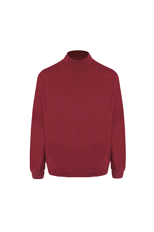 Изображение для Джемпер T1004